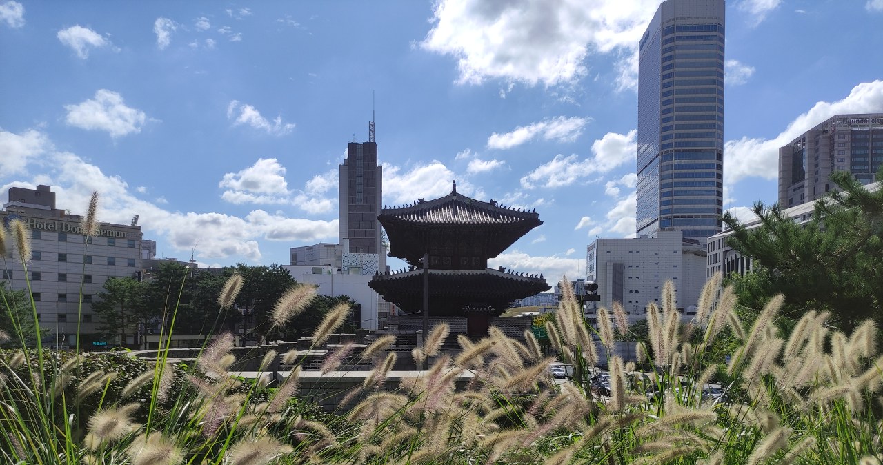 10 rozwiązań, których Polacy mogliby się nauczyć od Japończyków i Koreańczyków