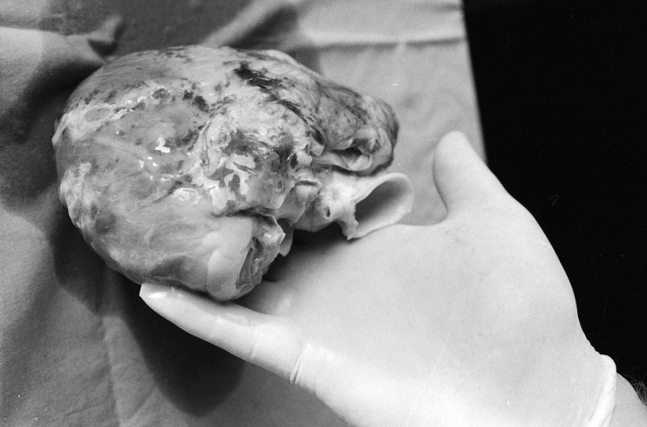 /Stanisław Jakubowski    /PAP