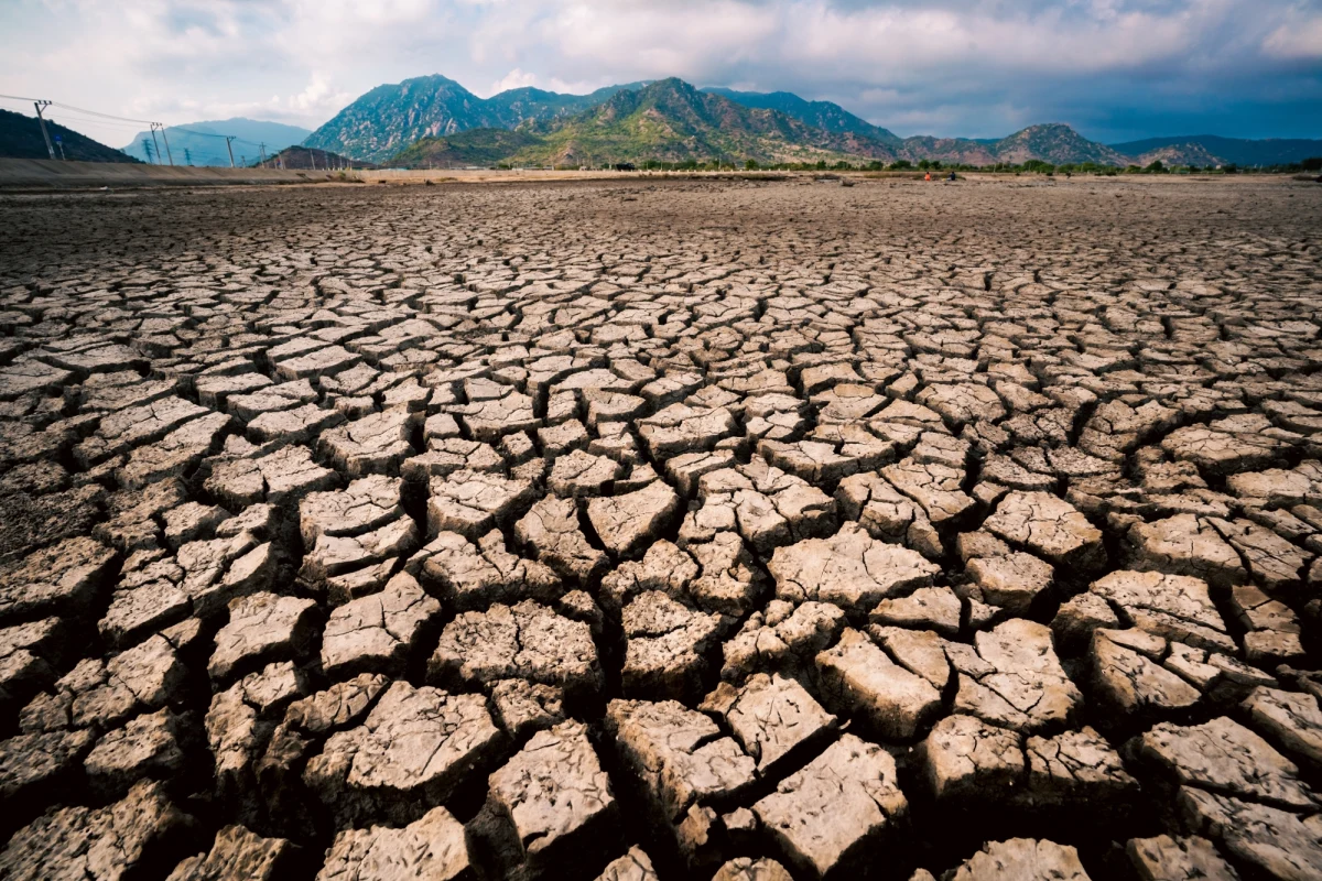 Stolica Iranu podobnie jak reszta tego kraju zmaga się obecnie z jedną z najgorszych od dziesięcioleci suszy. Media alarmują, że w perspektywie zaledwie dwóch tygodni główny zbiornik zaopatrujący Teheran w wodę pitną może całkowicie wyschnąć. Utrata dostępu do wody pitnej będzie prawdziwym dramatem dla populacji Teheranu, który zamieszkuje blisko 10 milionów ludzi. 