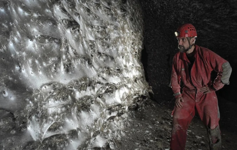 Największa pajęczyna na świecie. Liczy 111 tys. pająków