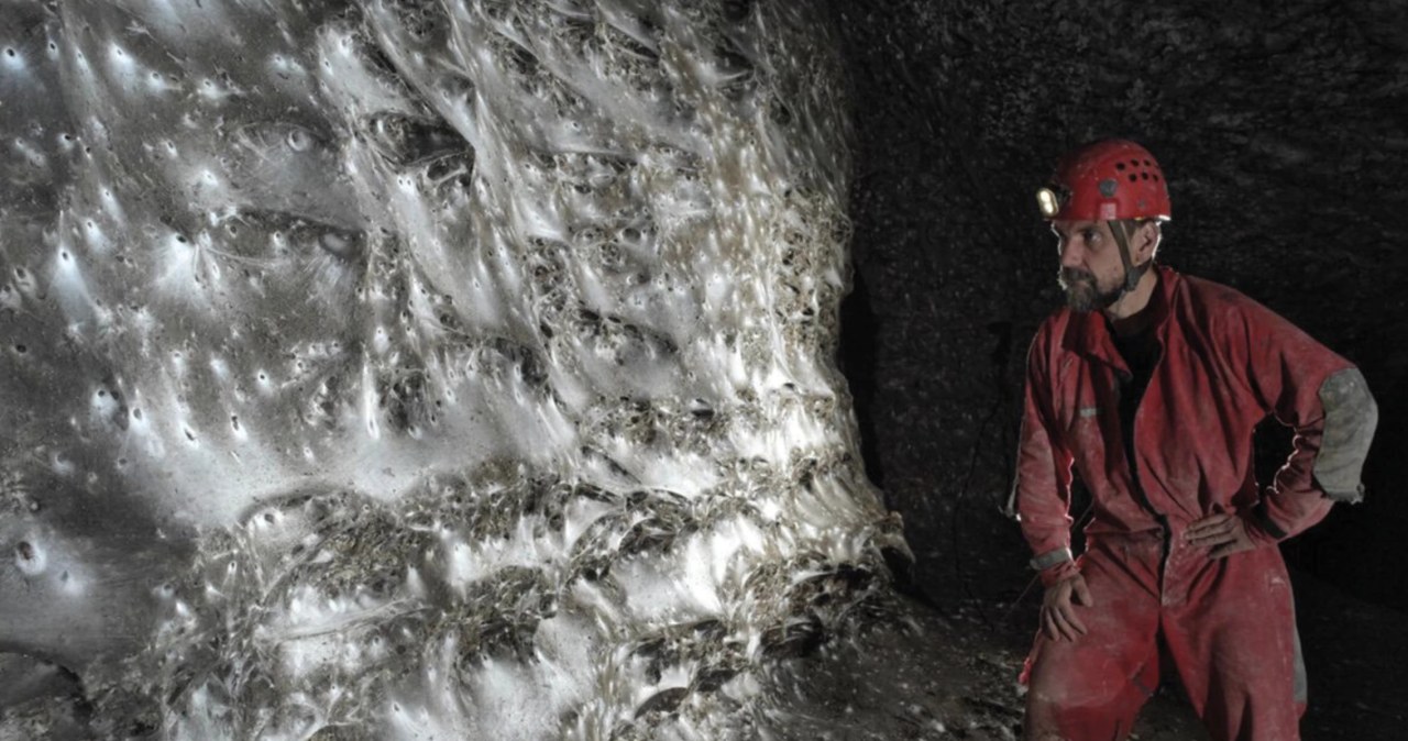 Największa pajęczyna na świecie. Liczy 111 tys. pająków