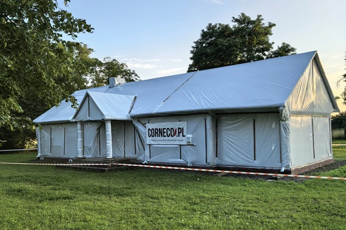 Czym jest fumigacja i na czym polega jej skuteczność? Fumigacja to jedna z najskuteczniejszych metod zwalczania szkodników – zarówno tych widocznych, jak i ukrytych. Polega na zastosowaniu specjalnych substancji chemicznych w postaci gazu, pary lub dymu, które przenikają nawet do najmniejszych szczelin. Dzięki temu docierają tam, gdzie inne metody zawodzą, eliminując szkodniki na każdym etapie ich rozwoju – od jaj, przez larwy, aż po dorosłe osobniki.