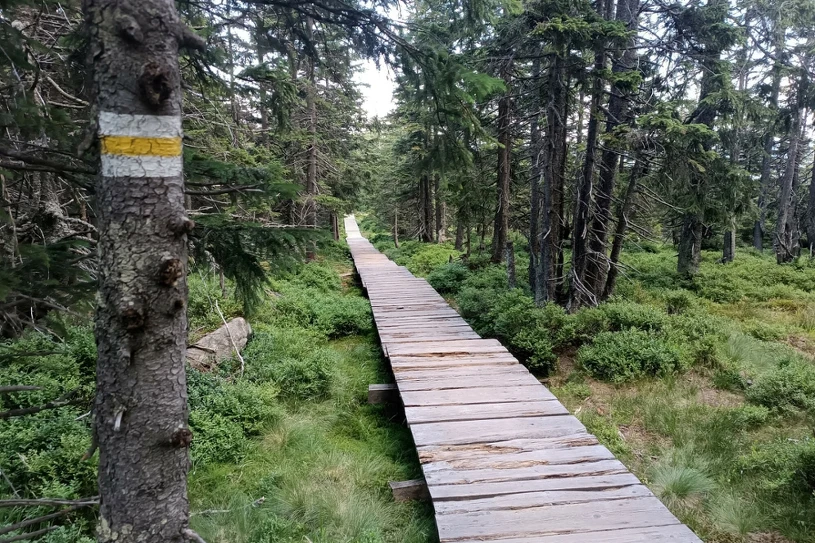Wybierasz się w góry na długi weekend? Licz się z dużymi utrudnieniami