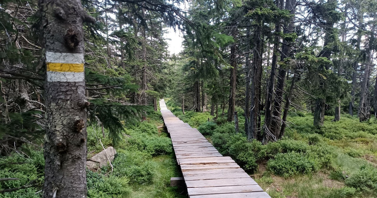 Wybierasz się w góry na długi weekend? Licz się z dużymi utrudnieniami