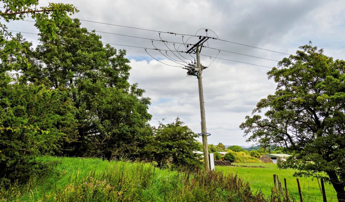 W Los Angeles doszło do tragicznego wypadku podczas prac przy przycinaniu drzew. 48-letni mężczyzna zginął po tym, jak będąc zawieszonym około 9 metrów nad ziemią, dotknął linii energetycznych.
