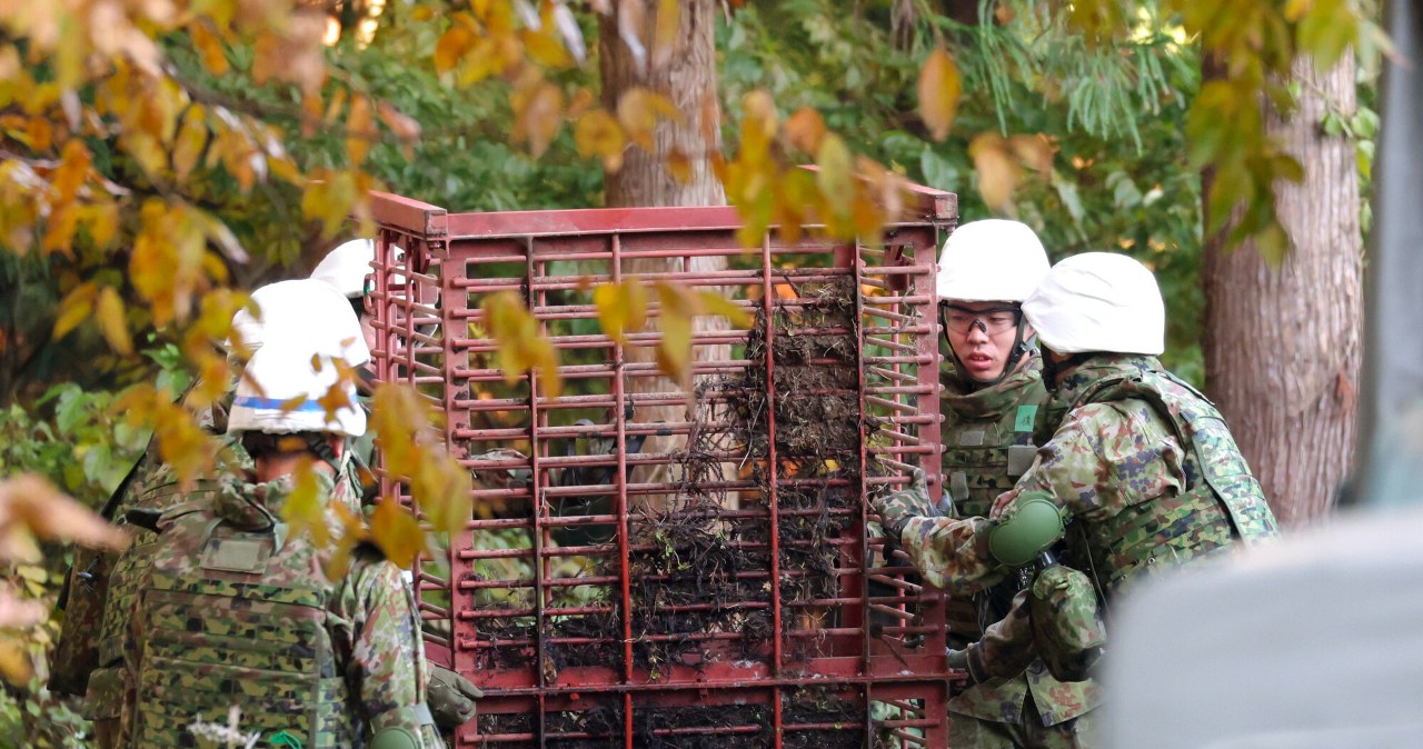 Panika w kraju. Zarządzono odstrzał drapieżników z użyciem karabinów