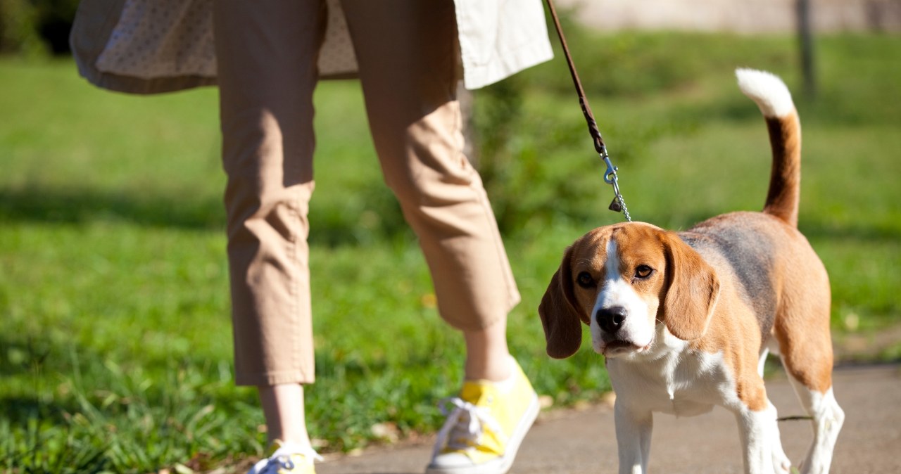 Od stycznia podatek w górę. Najwyższa maksymalna stawka w historii
