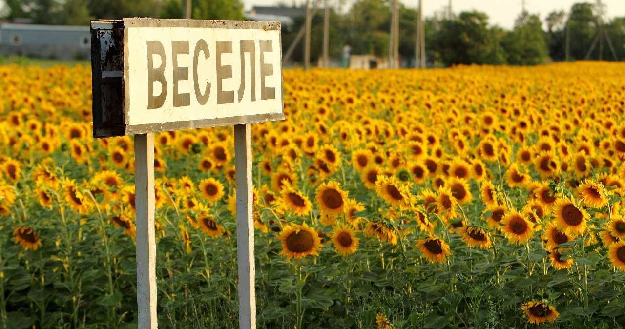 Gleby Ukrainy są w fatalnym stanie. To zła wiadomość dla całego świata
