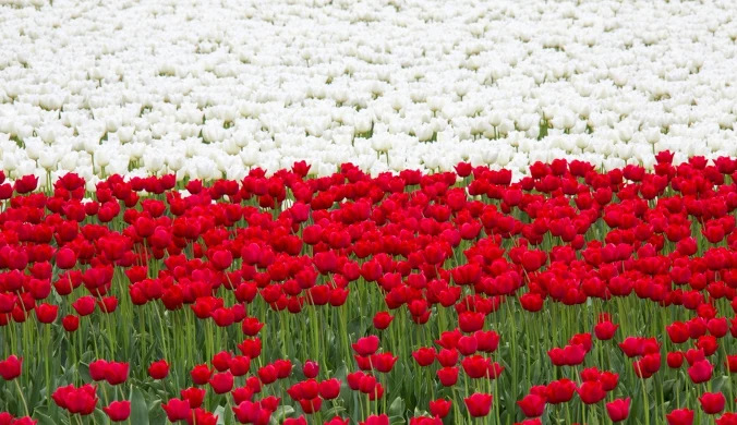 W roku 2025 Polska nie jest już krajem suwerennym. Niestety