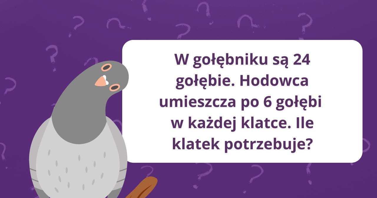 Zestaw łamigłówek z gołębiami, które pobudzą twoje szare komórki