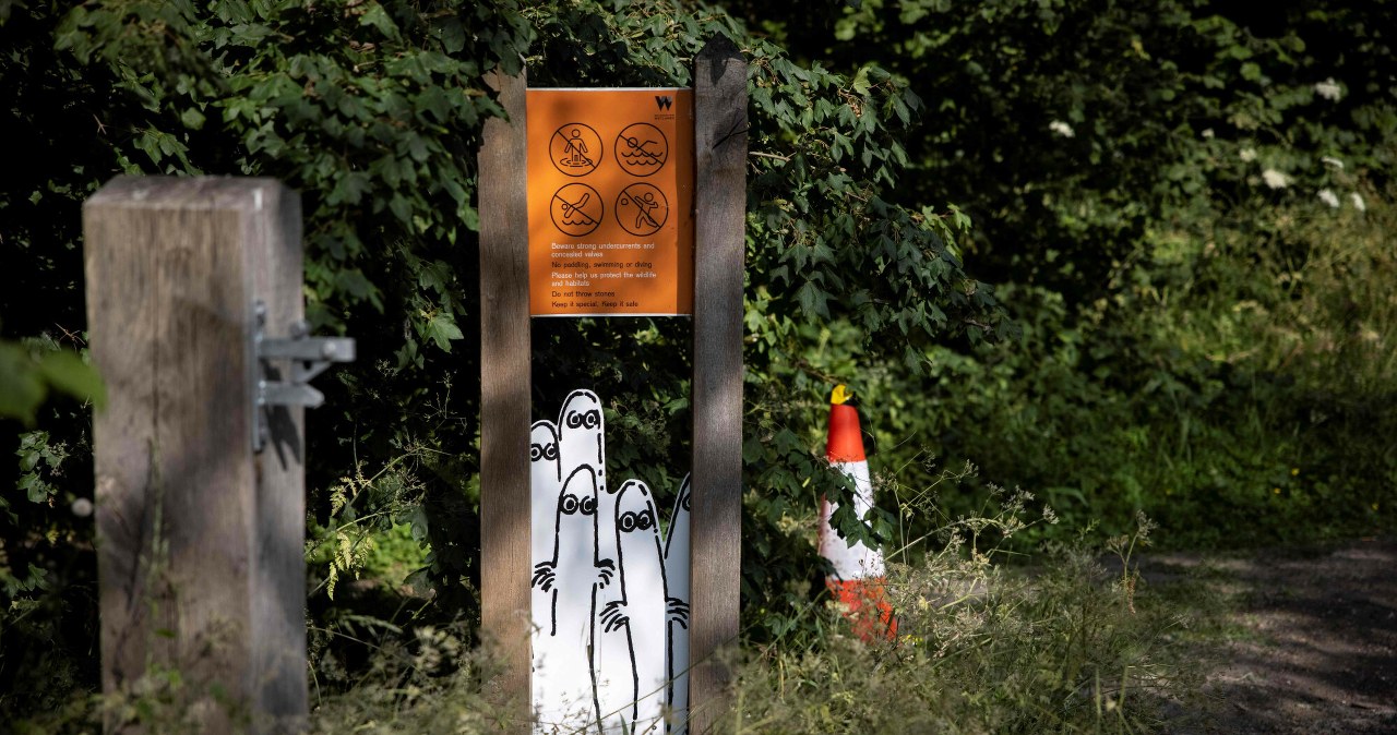 Grzybki niczym postaci z Muminków. Nie uwierzysz, co potrafią po zmroku