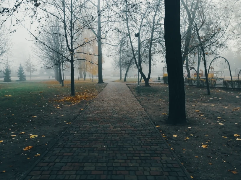 Piątek między słońcem a mgłami. Miejscami trzeba uważać