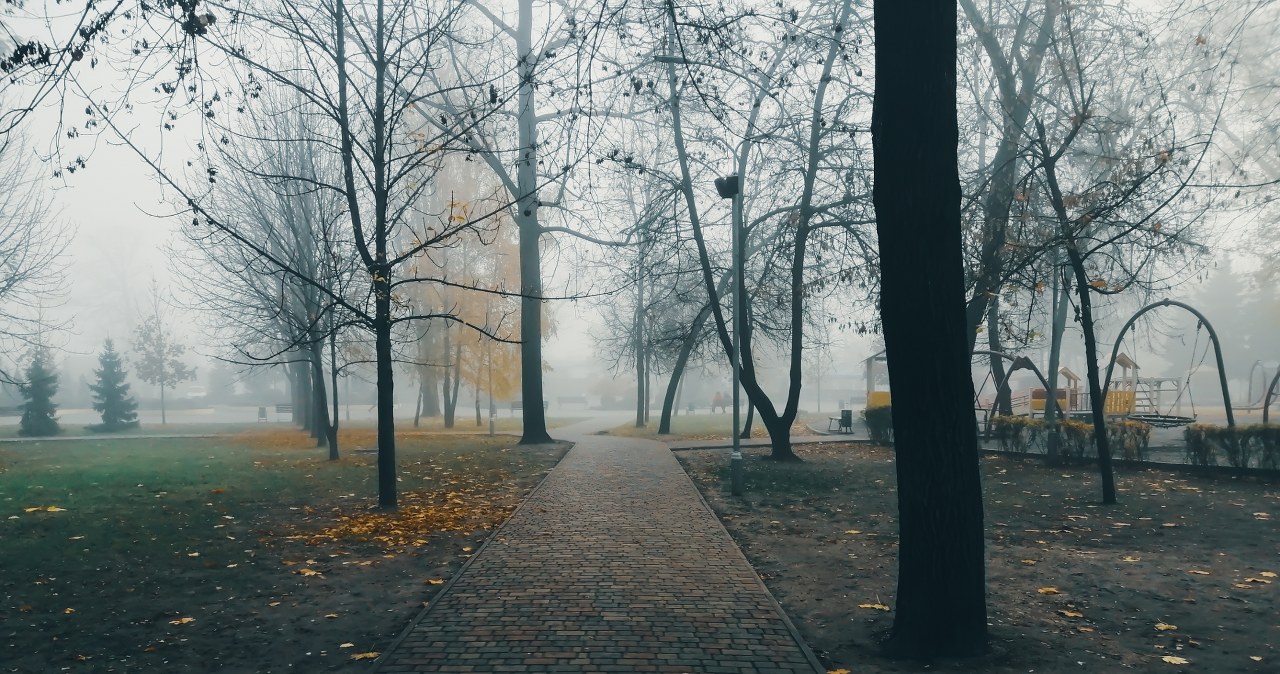 Piątek między słońcem a mgłami. Miejscami trzeba uważać