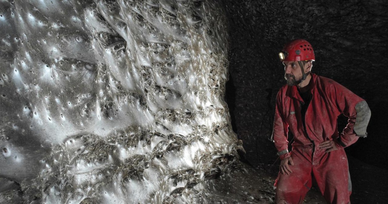 Największa pajęczyna świata znaleziona w Europie,. Jak z horroru