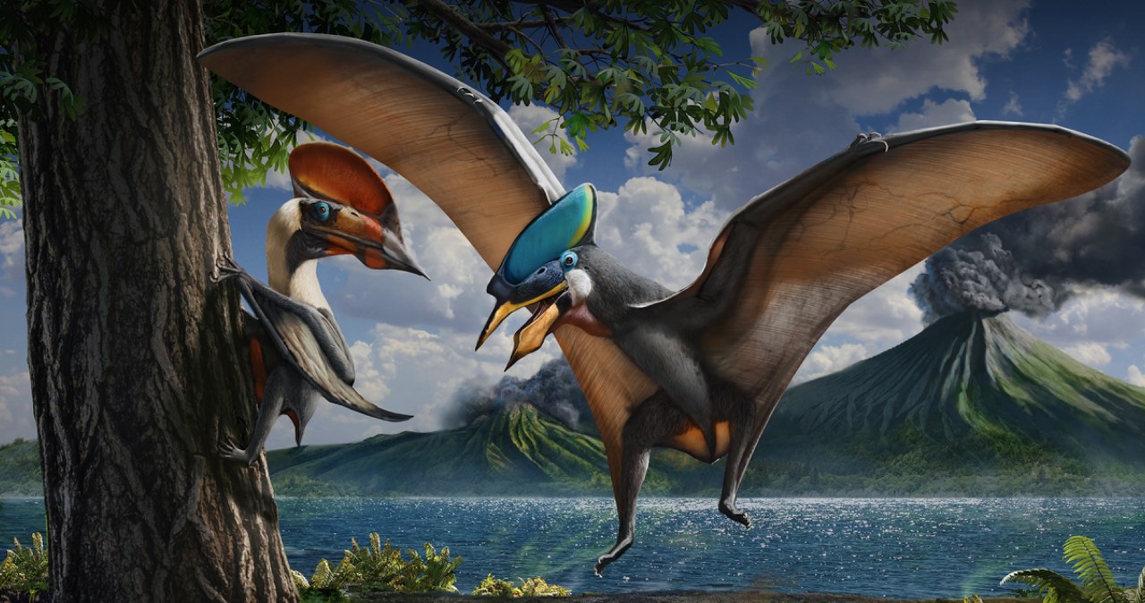 To pierwsze w dziejach dowody na to, że pterozaury były roślinożerne