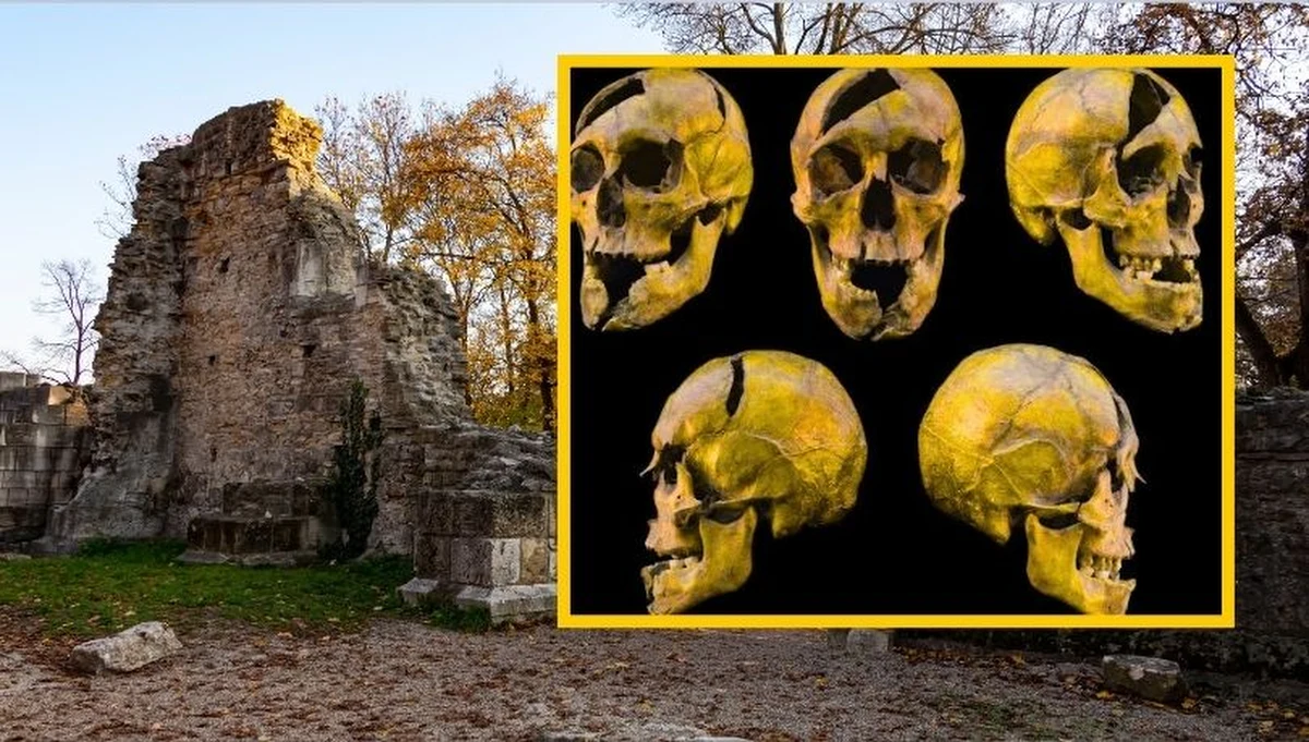 Przez dekady los szczątków księcia Béli z Macsó pozostawał tajemnicą, a okoliczności jego śmierci budziły kontrowersje wśród historyków i antropologów. Najnowsze badania sądowo-lekarskie i archeologiczne rzucają nowe światło na wydarzenia z listopada 1272 roku, odsłaniając kulisy jednego z najgłośniejszych zabójstw węgierskiego średniowiecza.