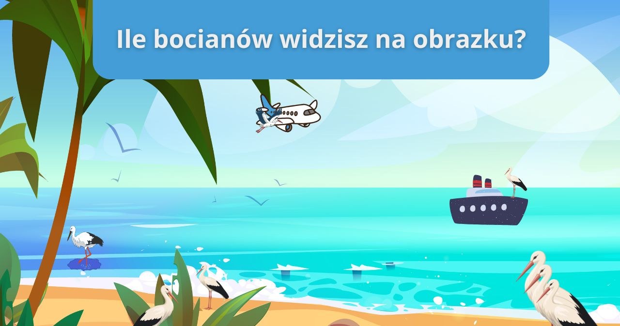 Trudny test na spostrzegawczość. Niewielu doliczyło się wszystkich bocianów