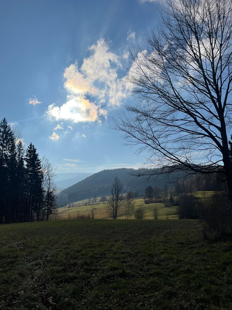 /Martyna Czerwińska /RMF FM