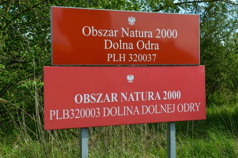 Prezydent zdecydował ws. nowego parku narodowego. "Zniweczył pan pracę"