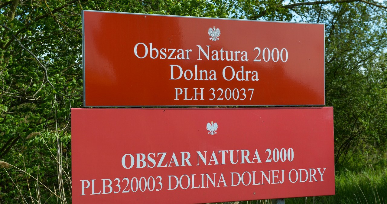 Prezydent zdecydował ws. nowego parku narodowego. "Zniweczył pan pracę"