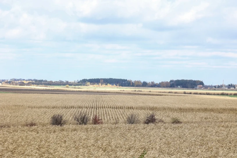 Kogo obciąża afera z działką pod CPK? Polacy zabrali głos