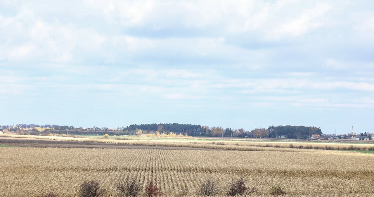 Kogo obciąża afera z działką pod CPK? Polacy zabrali głos