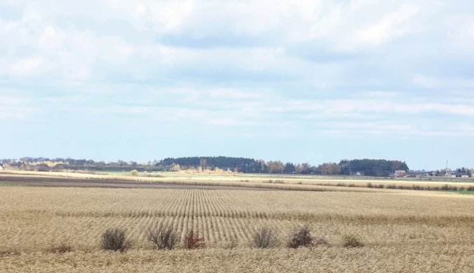 Kogo obciąża afera z działką pod CPK? Polacy zabrali głos