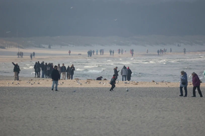 Protest ws. inwestycji Polski nad Bałykiem. "Grozi nam nowa eskalacja"