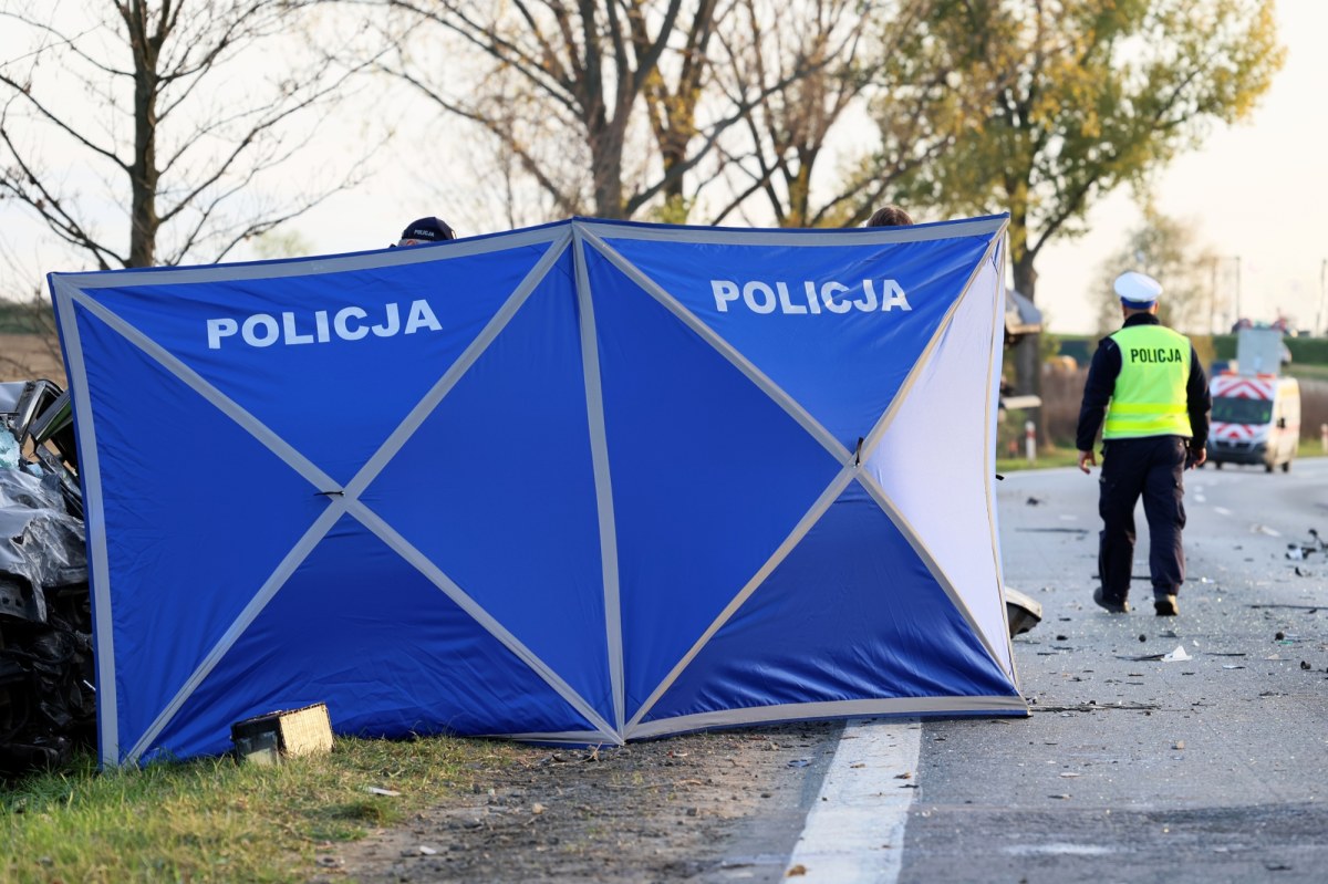 Auto uderzyło w drzewo. Tragiczny wypadek młodego kierowcy