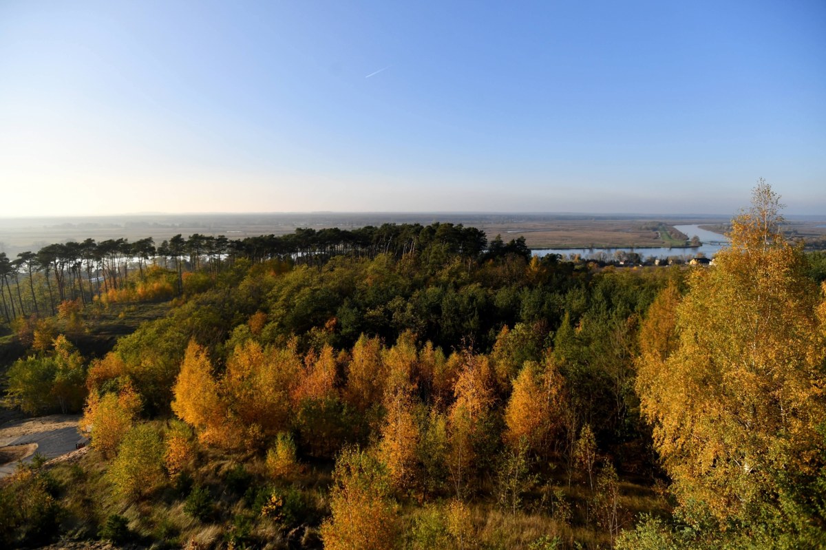 Wójt Kołbaskowa: Bez parku Dolina Dolnej Odry zatraci swoje walory