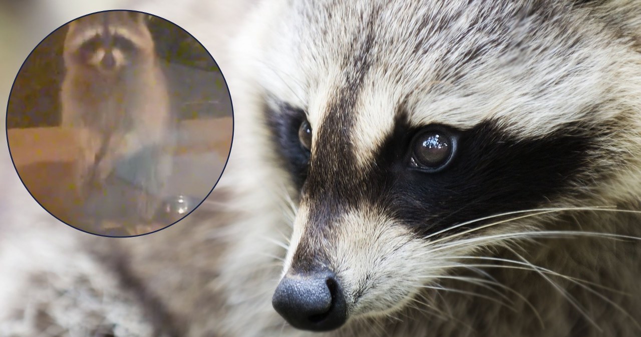 Dziennikarz Interii na własnej skórze doświadczył, że inwazja na Polskę postępuje