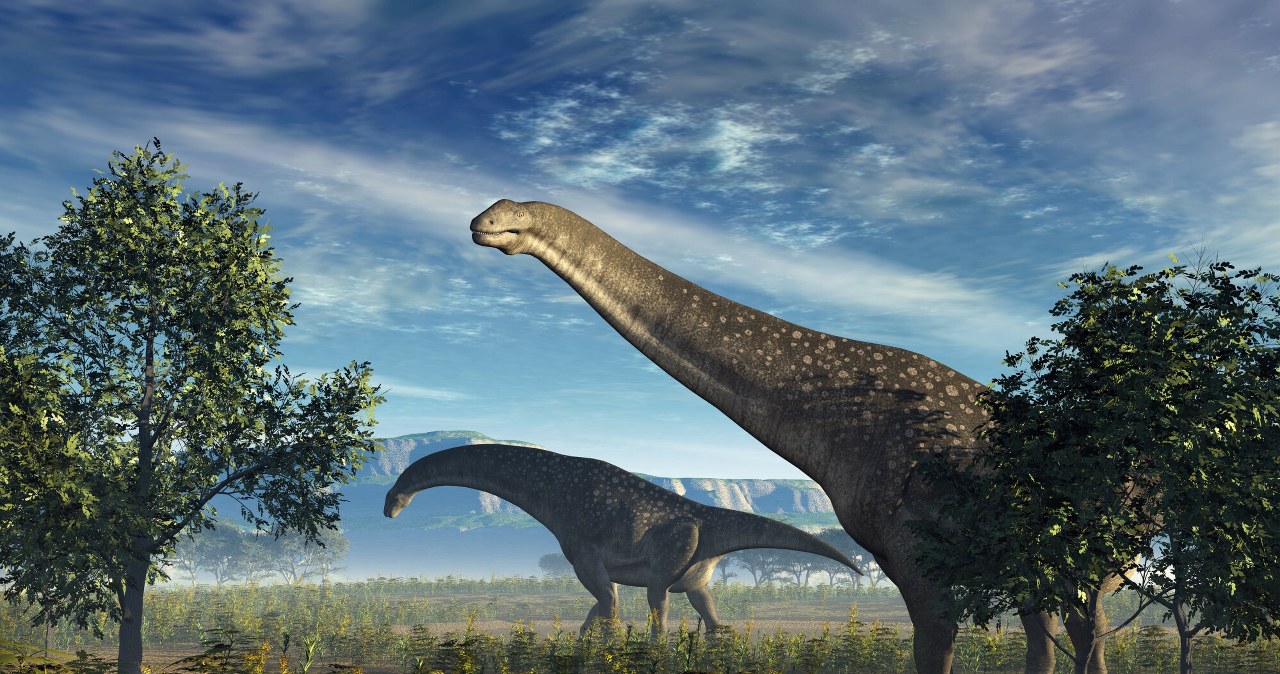 Fenomen największych dinozaurów. Lęgły się z niedużych jaj