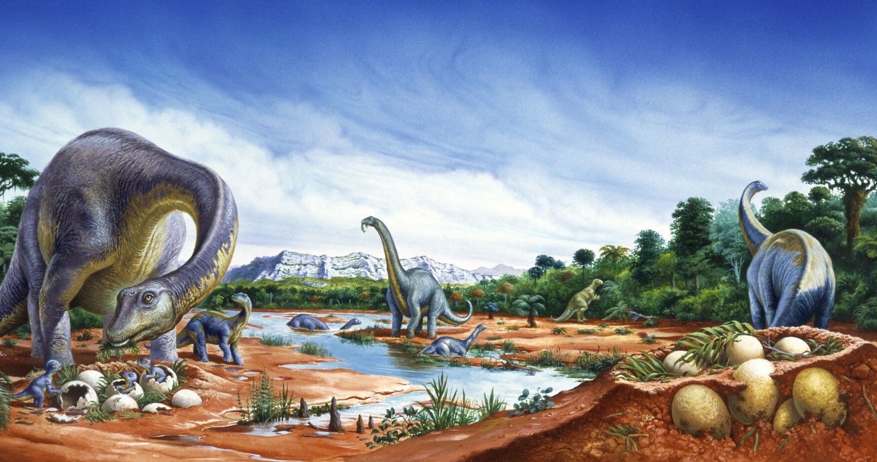 Jaja na końcu świata. Paleontolodzy odkryli sekret tytanozaura