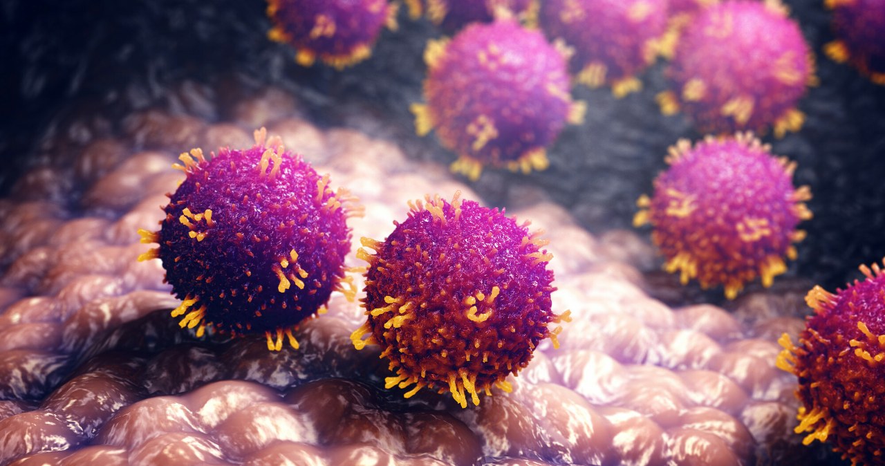 Kanada ogłasza: „Straciliśmy status kraju wolnego od choroby”