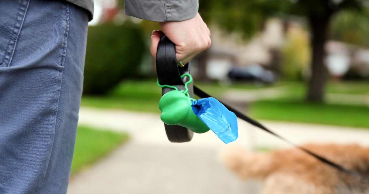 Chodzą ze smyczami bez psów. Nowe, dziwaczne hobby budzi zdumienie