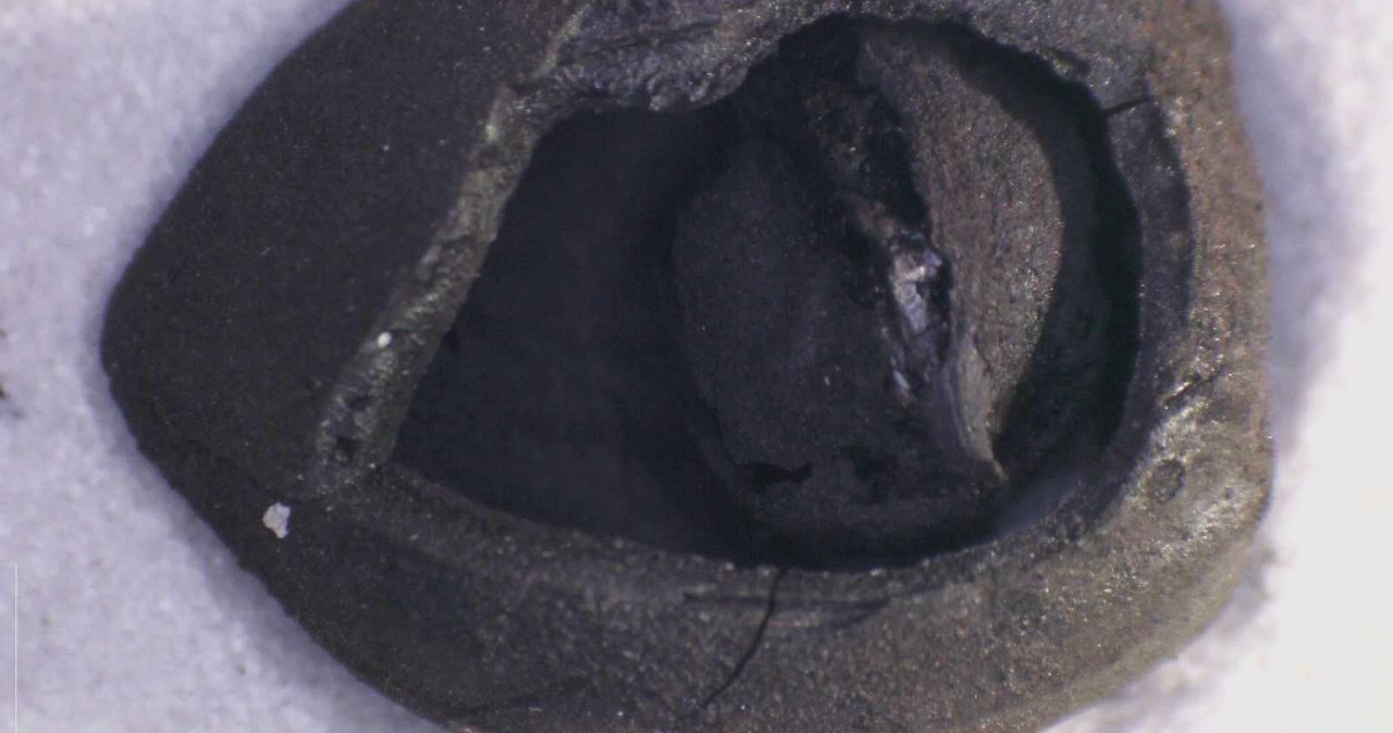 Relikt starszy niż piramidy. Wyjątkowe odkrycie daje do myślenia