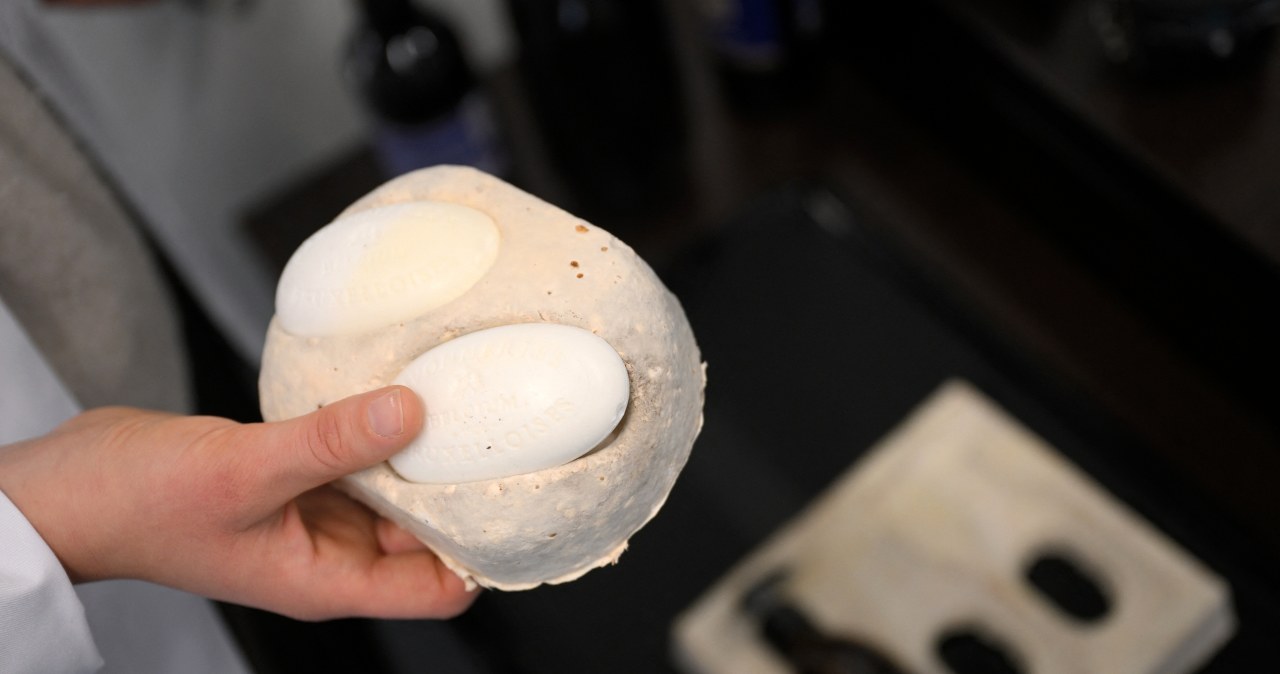 Niezwykły wynalazek. Trudno uwierzyć, z czego zrobili bioplastik Niezwykły wynalazek. Trudno uwierzyć, z czego zrobili bioplastik
