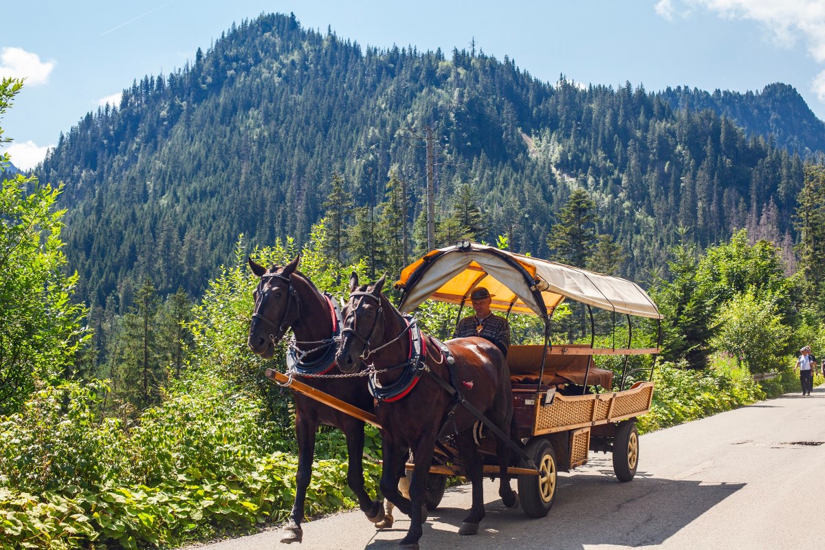 "Dramat" nad Morskim Okiem. Wozy konne odjechały, turyści zaskoczeni