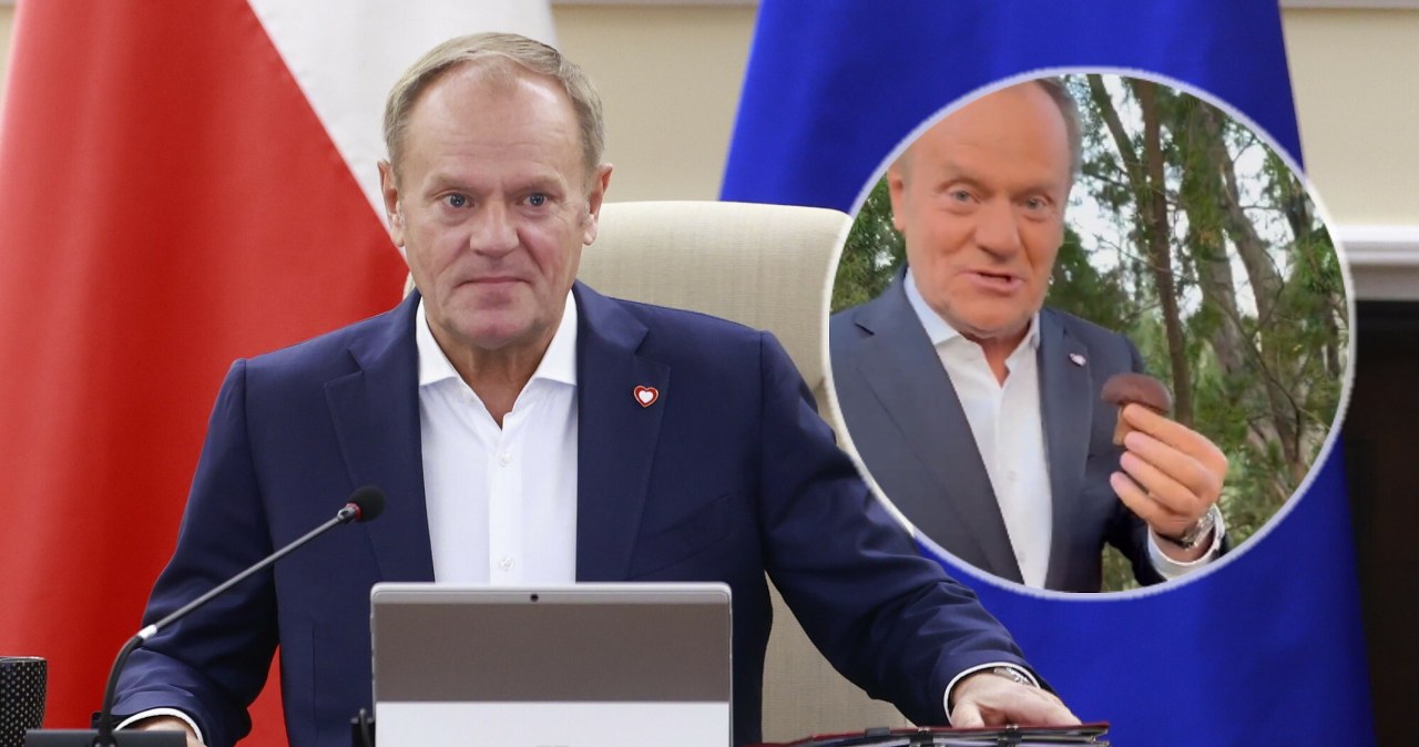 Premier na grzybobraniu. Porównał je do polskiej gospodarki