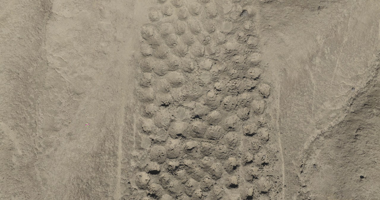 Tajemnicza konstrukcja Inków od prawie 100 lat pozostaje zagadką. Archeolodzy znaleźli rozwiązanie?