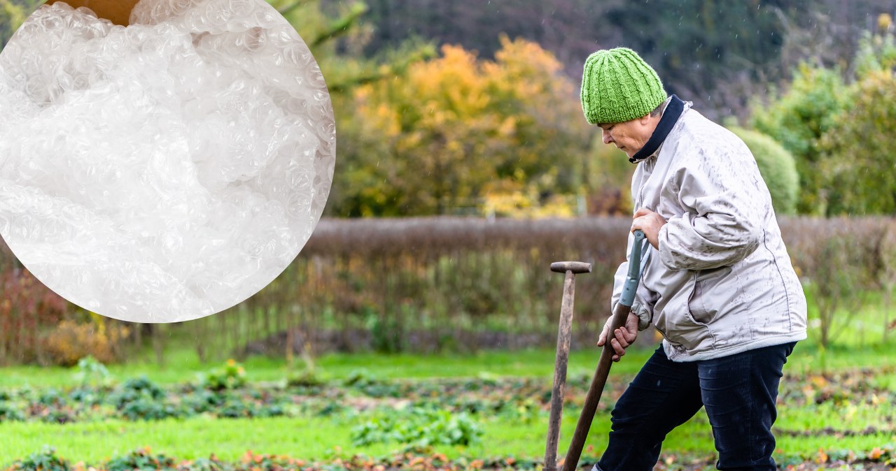 Zamiast wyrzucać folię bąbelkową, wynieś ją do ogrodu. Efekt cię zaskoczy
