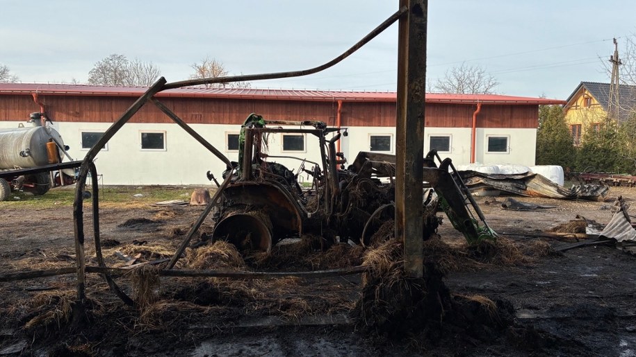 /Maciej Sołtys /RMF FM