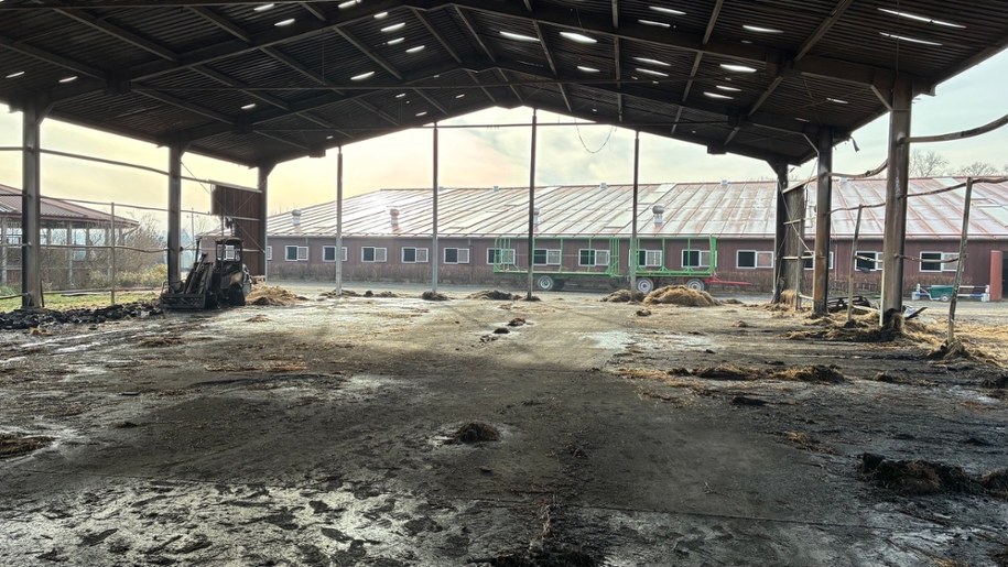 /Maciej Sołtys /RMF FM