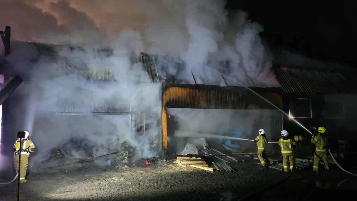 W czwartek wieczorem w Wiśle (woj. śląskie) wybuchł pożar na terenie tartaku. Ogień pojawił się w hali magazynowo-produkcyjnej, w której znajdowały się maszyny do obróbki drewna. Strażacy szacują, że straty mogą sięgnąć nawet pół miliona złotych.