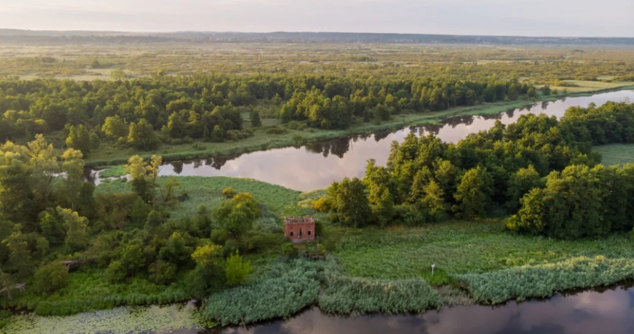 Wielka awantura o nowy park narodowy. Obejdą weto prezydenta? "Do końca roku"