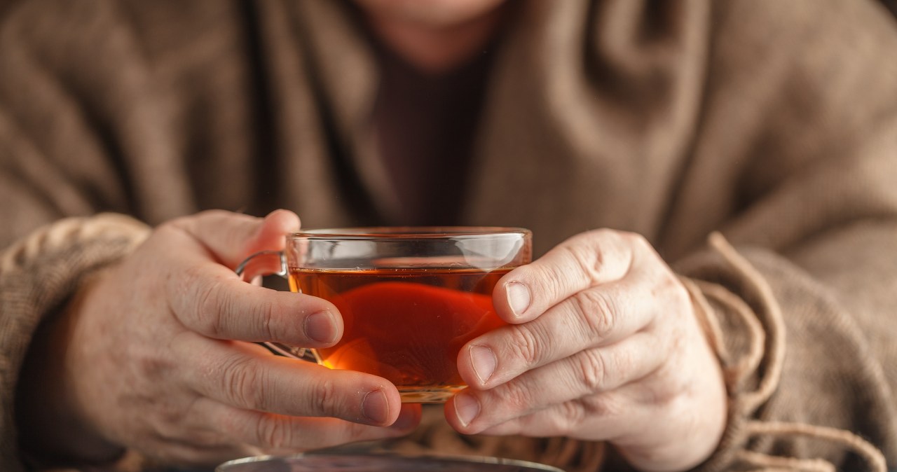 Reguluje cukier i kwas moczowy, przegania bakterie i grzyby. Jak działa podagrycznik?