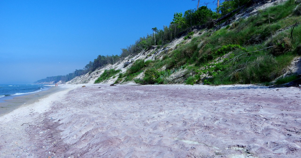 Fioletowe plaże nad Bałtykiem to rarytas. Zjawisko zachwyca