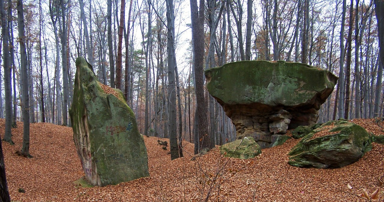 To urokliwe miejsce jest ostoją przyrody. A Polacy jakby o nim zapomnieli