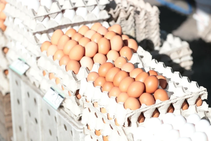 Ministerstwo zapewnia, iż jaj na Święta nie zabraknie. Ale mogą być droższe