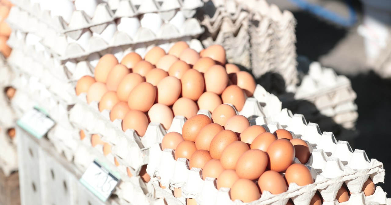 Ministerstwo zapewnia, iż jaj na Święta nie zabraknie. Ale mogą być droższe